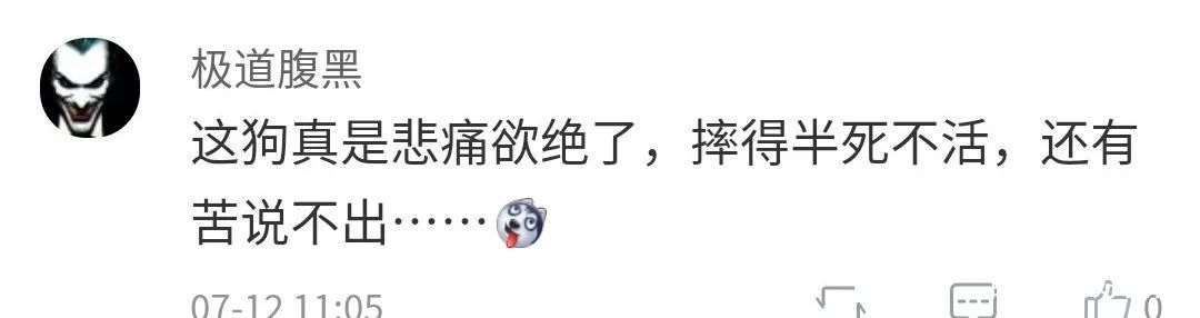 开出租遛狗?的哥:怕狗把车弄脏…
