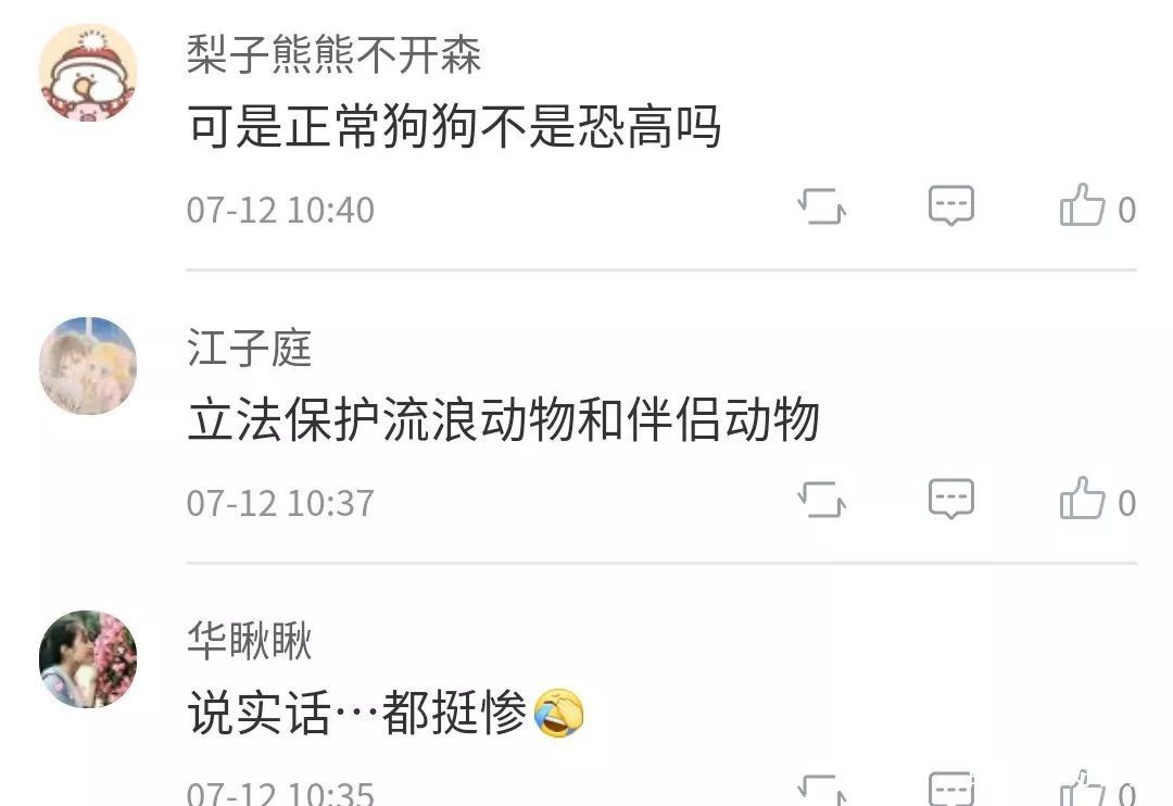开出租遛狗?的哥:怕狗把车弄脏…