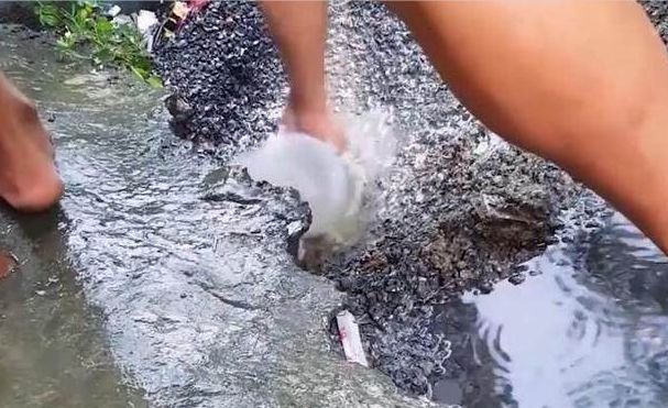 小狗掉入水沟,在危急之中狗妈妈的做法出乎意料,母爱一直很伟大