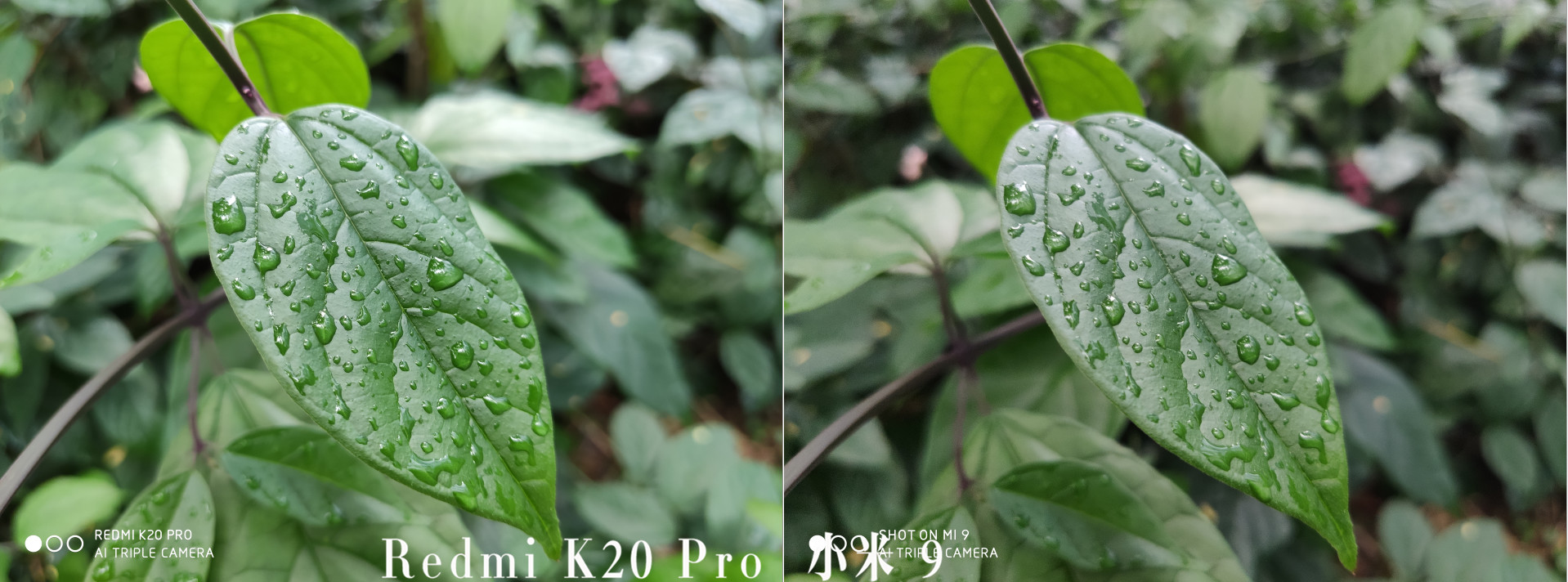 Redmi K20 Pro详细评测:“刀法精湛”的水桶机?