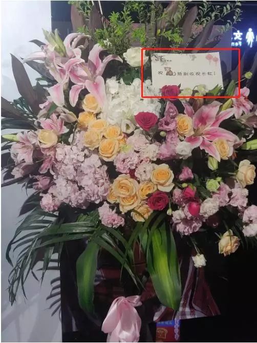 不可能复合!娜扎丢掉花篮后取关张翰,到底是谁在炒作?