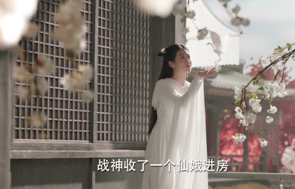 倪妮张震古装剧差评如潮,真的有这么难看吗?