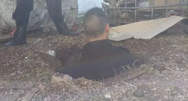 囚犯花2天挖秘密通道准备逃跑,却没想到挖到了警犬脚下,笑死个人!