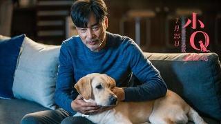 任达华空降媒体群感谢各位朋友,出院后已到家,计划休息十天左右
