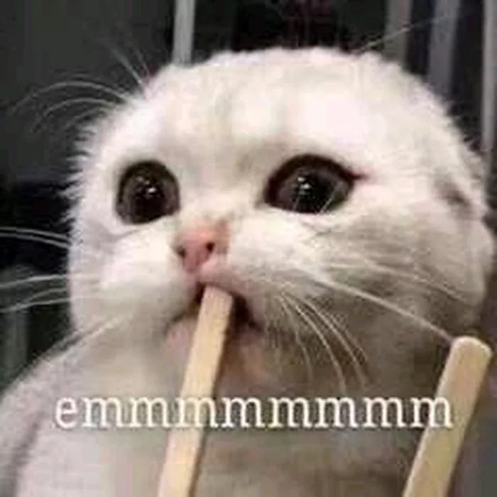汪涵怼王一博粉丝,给爱豆当妈合适吗?