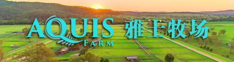 2019全国马术场地障碍青少年锦标赛:滑元霖夺青年A组1.25米级别个人赛冠军