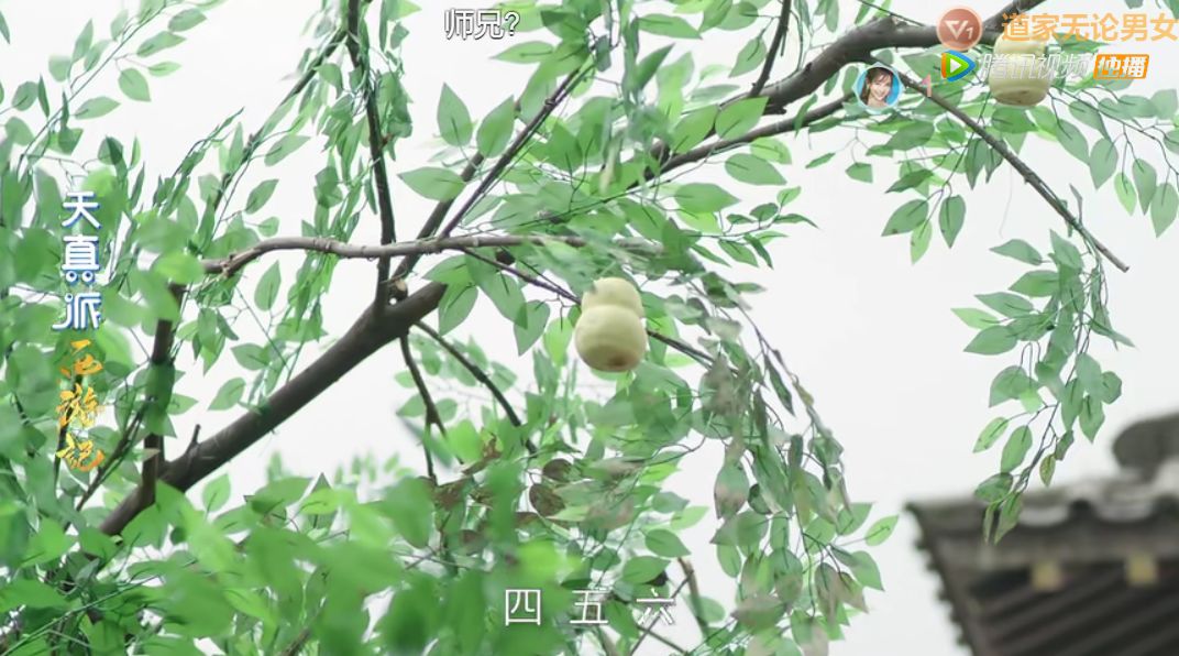 我要吹爆这群了不起的孩子,他们完成了一部难以置信的《西游记》