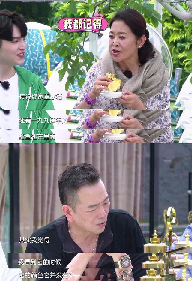笑死个谁!倪萍吐槽张晨光秒变段子手:他家冰箱还有1994年的冻鱼