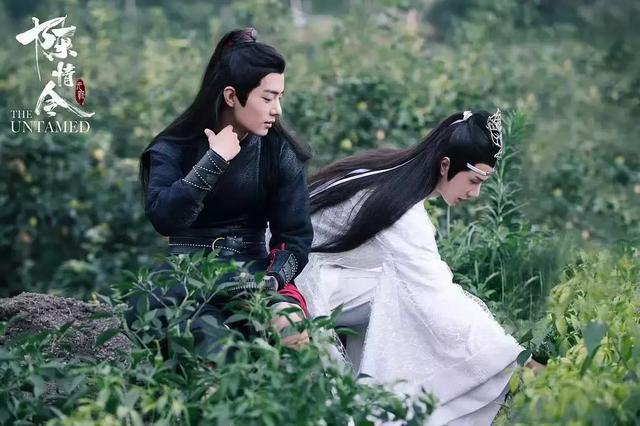 《陈情令》肖战塑造的魏无羡,为什么会是成功的典范?