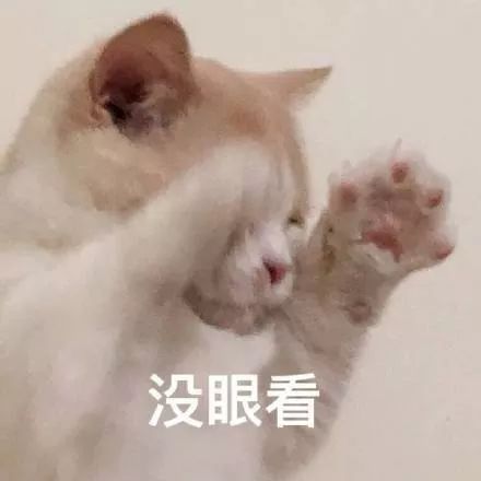 连续8年送生日祝福,说佟丽娅陈思诚离婚的是不是可以歇了?