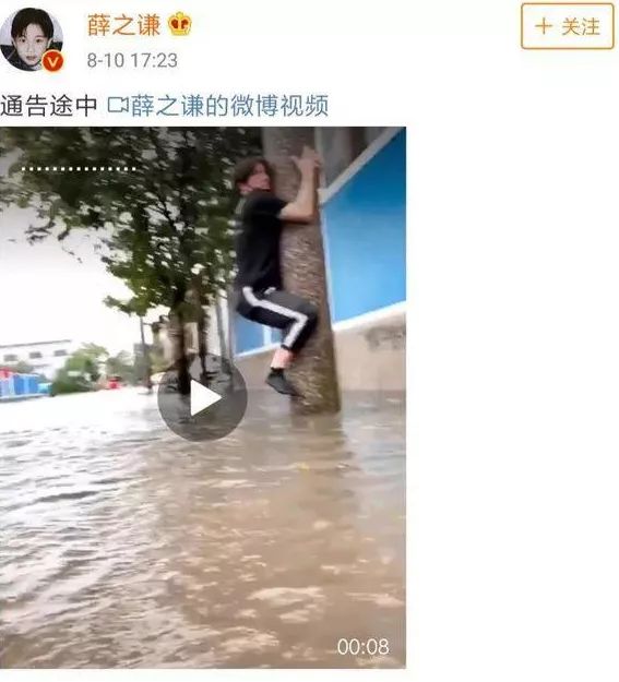 风灾也来抖机灵,薛谦之啥时能改掉爱表演的习惯?