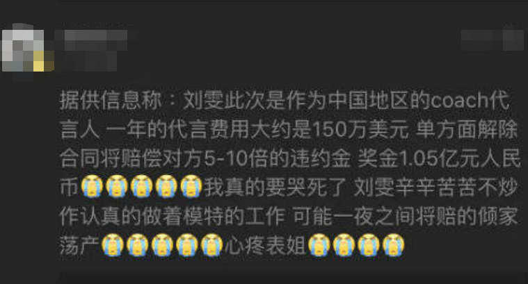 刘雯解约事件引人忧,恐面临巨额赔偿,知名导演力挺刘雯打官司