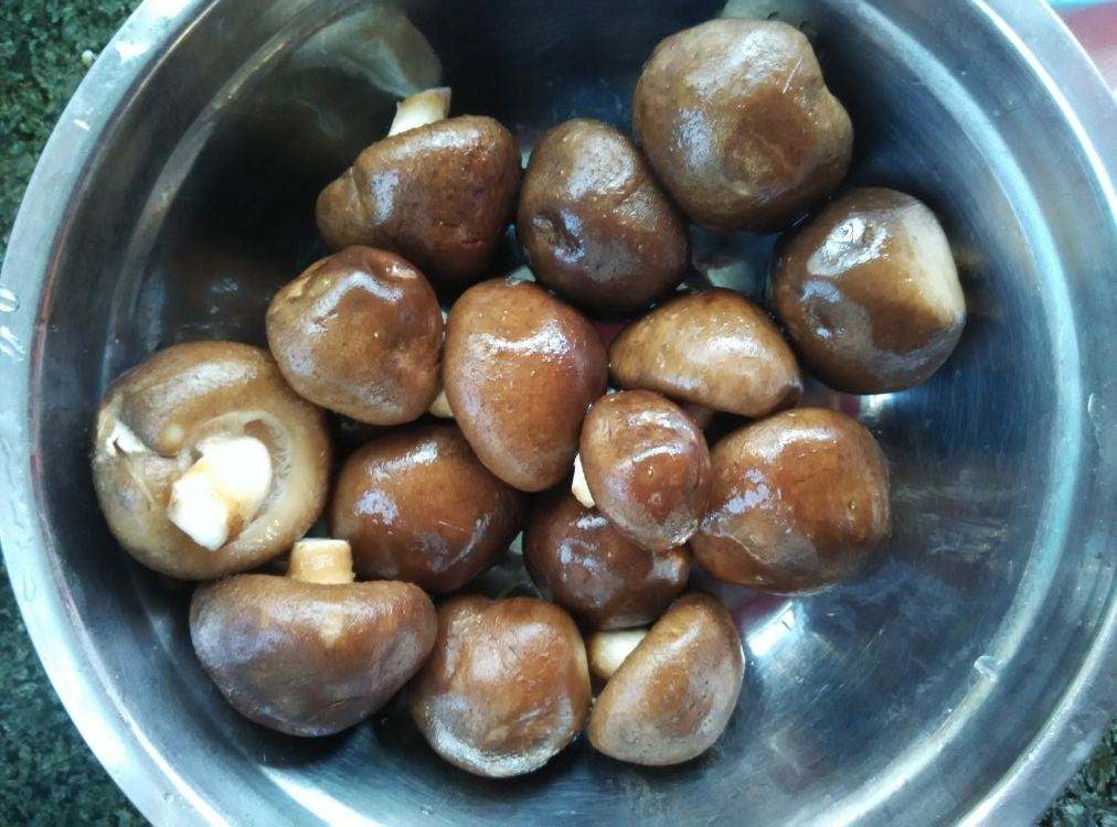 洗香菇时,千万不能只用清水,多加这“2物”,香菇清洗更彻底