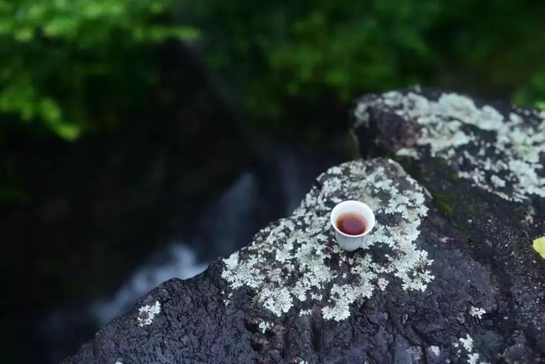 太闲,会毁掉一个正常的人