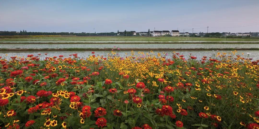 4000米高空跳伞是什么感觉?来甪直体验当“鸟人”的滋味
