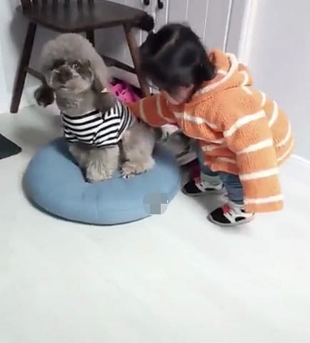 小宝宝见狗狗霸占狗窝不走,狠狠一巴掌下去,下一秒奶奶傻眼了!