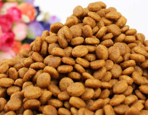 比特犬吃鱼肉拉大便特别臭