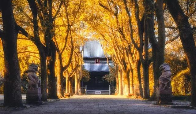 佛学:一念之间,成佛或成魔!