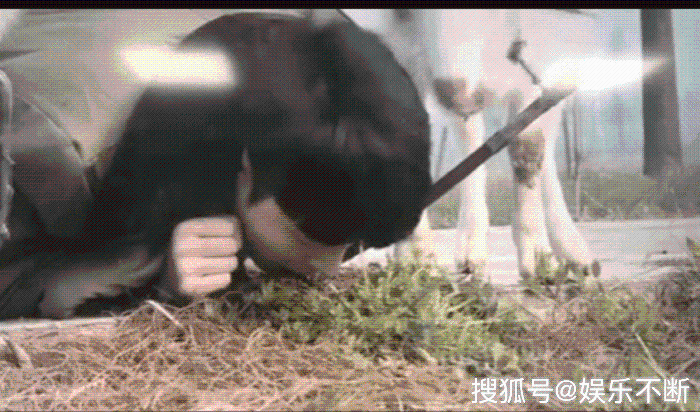 郑爽综艺翻车、张艺兴综艺翻车,都没有黄晓明综艺翻车热度高