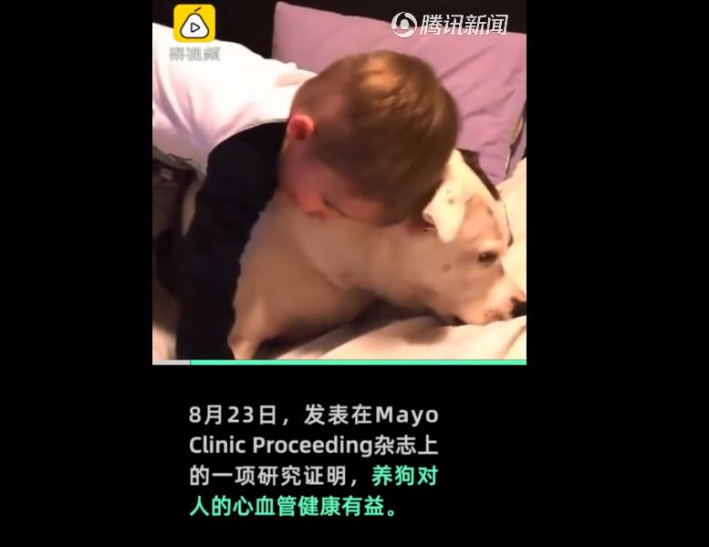 养狗有益于心脑血管健康#引起微博热议,养狗有新理由了,然而坚持养狗,就只有一个理由,竟然是...