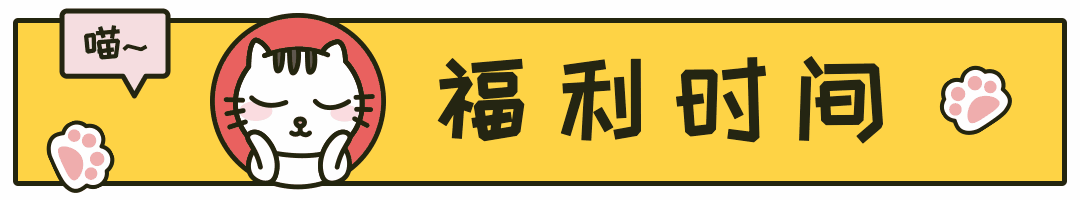我家的猫咪又拉肚子了,word天!我该怎么办!