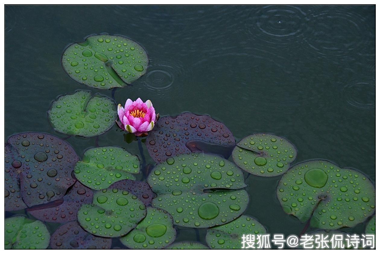苏轼醉归被淋成落汤鸡,一首宋词字数不多,但是温暖我们上千年