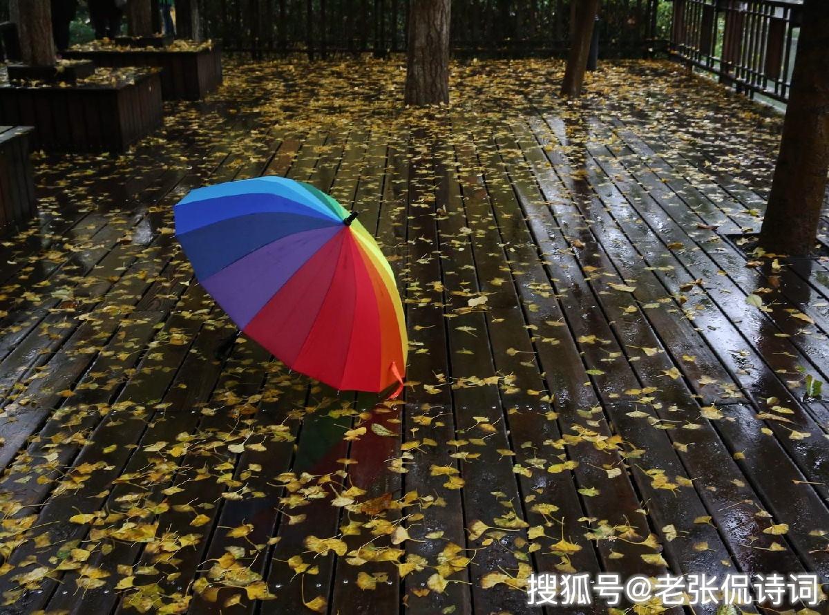 苏轼醉归被淋成落汤鸡,一首宋词字数不多,但是温暖我们上千年