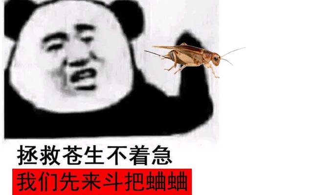 “太吾响当当”何许人也?一部活成了小说生成器的国产独立游戏
