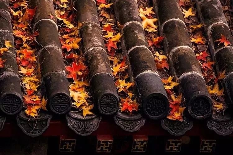 佛说:一念放下,万般自在