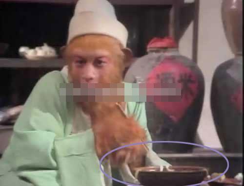 孙悟空真的无父无母?他诞生前后为何经常有一个大神跑花果山?