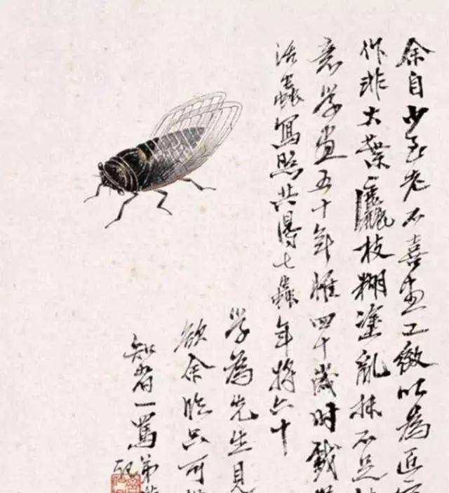 凭什么齐白石一只“蝉”能卖到几个亿