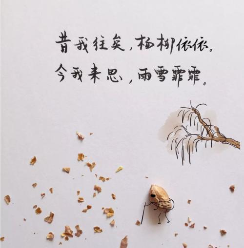 惊艳70后的短句:你再不来,我就要下雪了