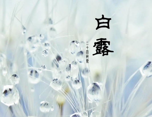 白露将至,俗语“白露白迷迷,秋分稻秀齐”啥意思?下半句也经典