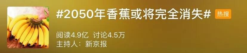 What?香蕉或在2050年完全消失?专家回应了