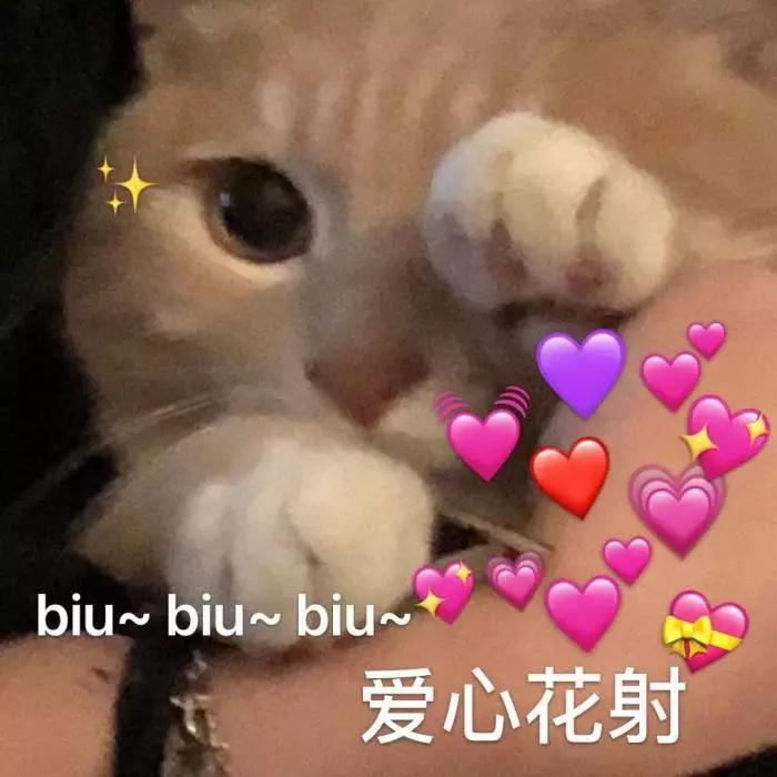 赵丽颖和王一博就这么不配吗