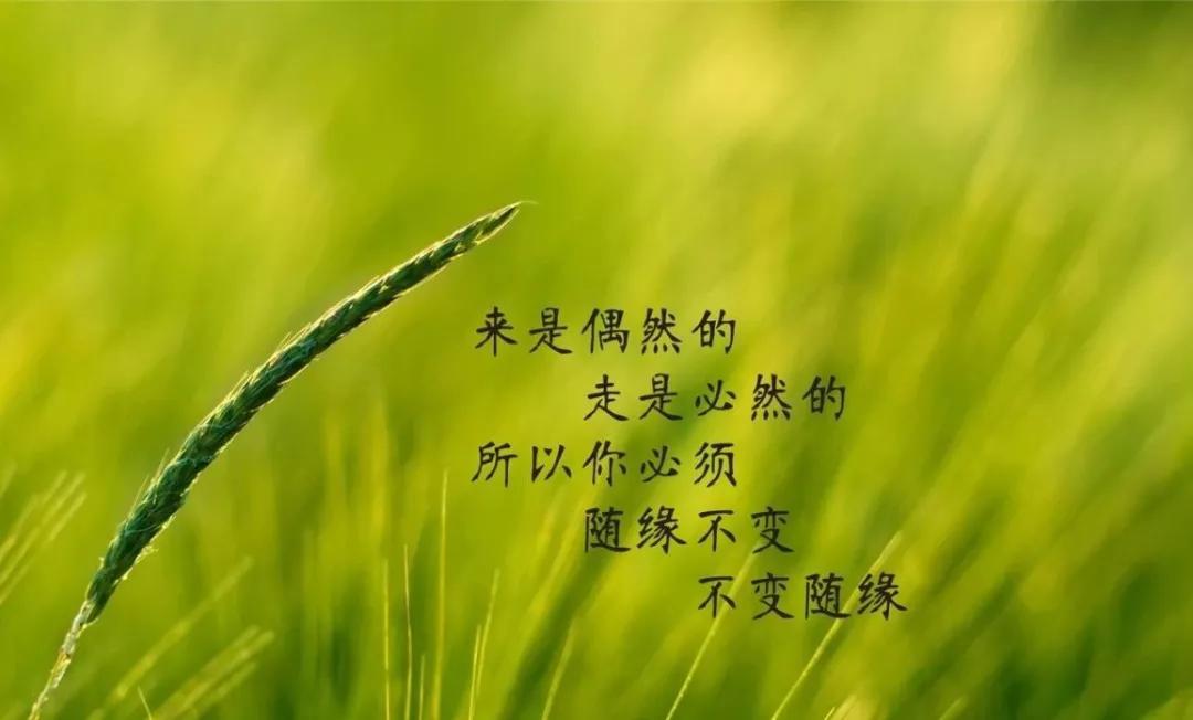 励志语录经典短句2019,名人名言大全,献给正在迷路的你