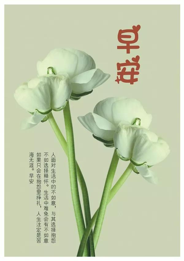 早安心语正能量,朋友圈早安激励语