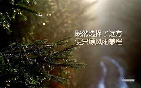 每一天都是一个新的开始