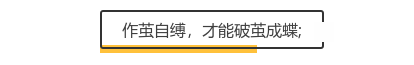成长之路 花开遍野