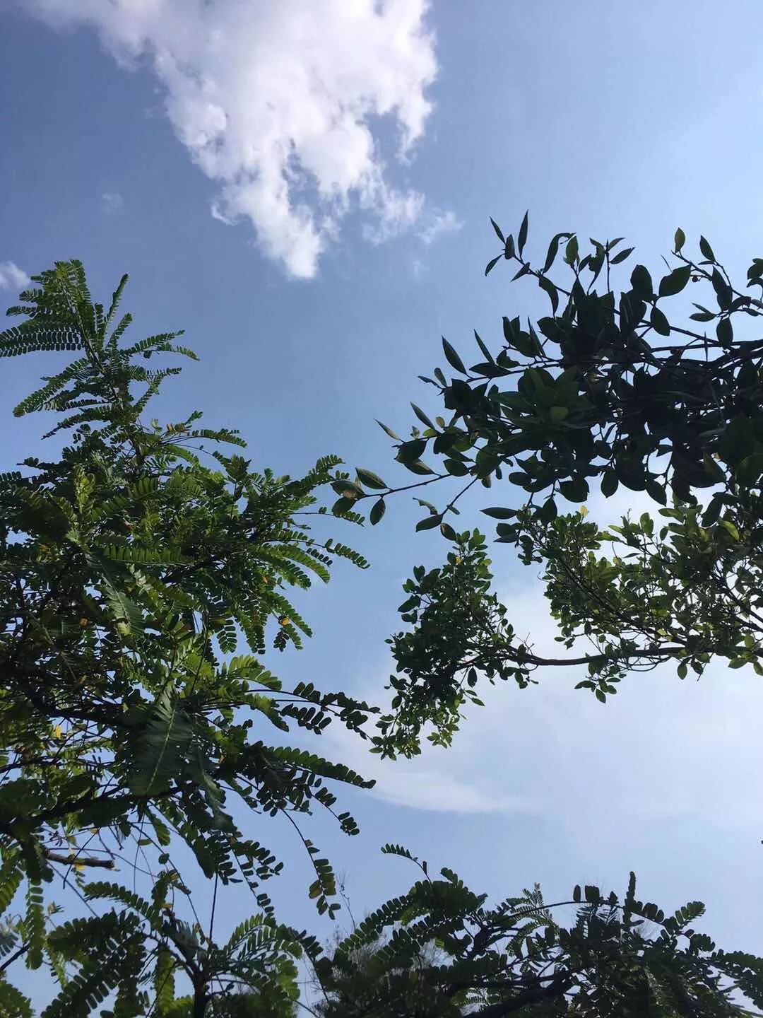二美:你怎么还在写作啊,我都已经放弃了。