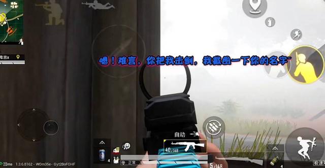 和平精英:难言游戏中偶遇小迷粉,这届粉丝脑回路很清奇呀!