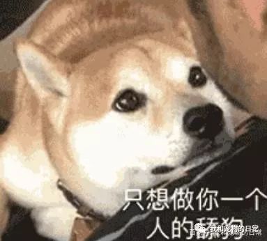尽管你伤害了我,但我还是会找到新的办法爱你的!