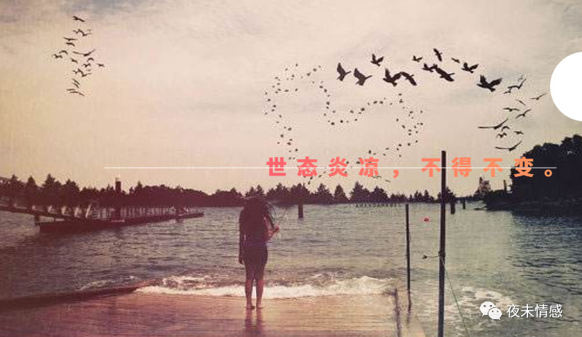 本期分享:感情的世界里,最可惜,莫过只剩回忆