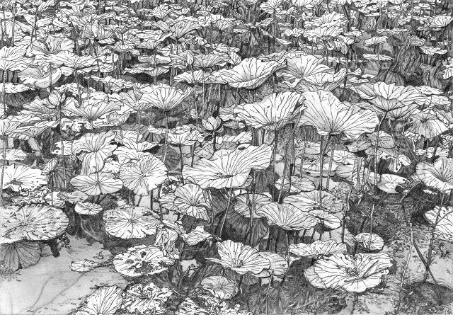 不一样的极品钢笔素描80幅,美醉!