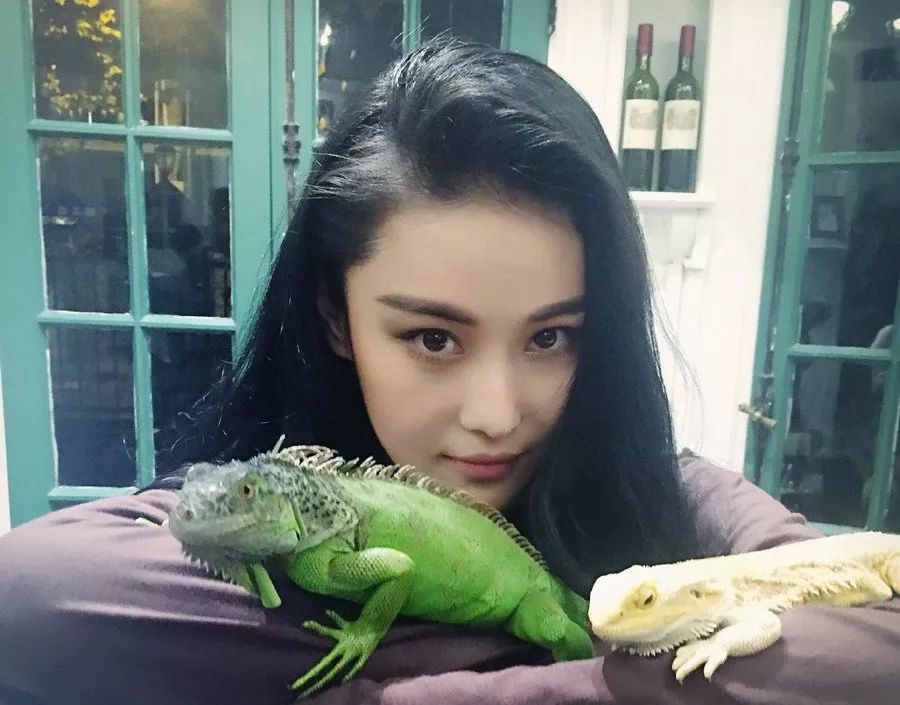 张恒送郑爽一只猪,爱养奇葩宠物的明星真不少!