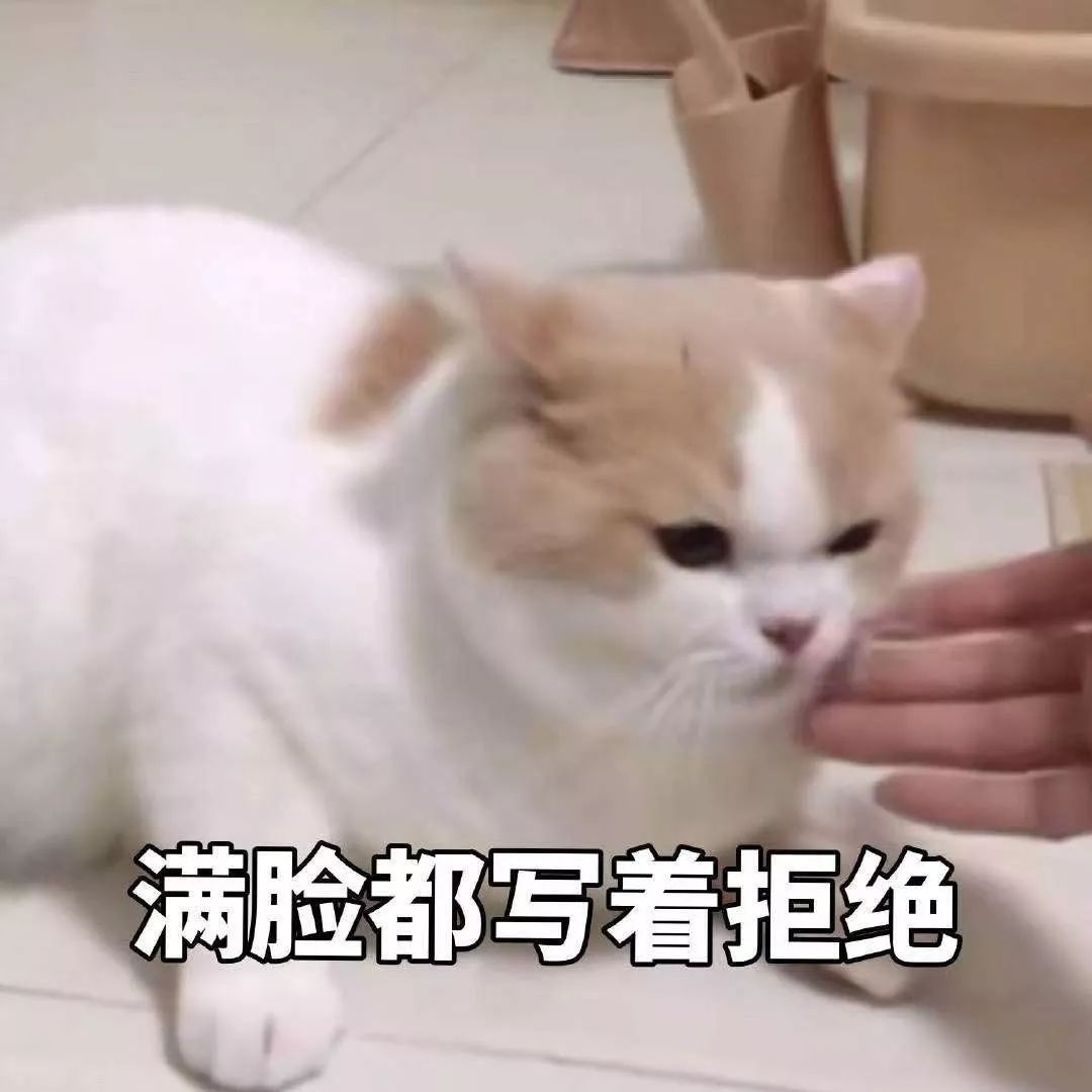 微信又更新了,新增了这个功能→