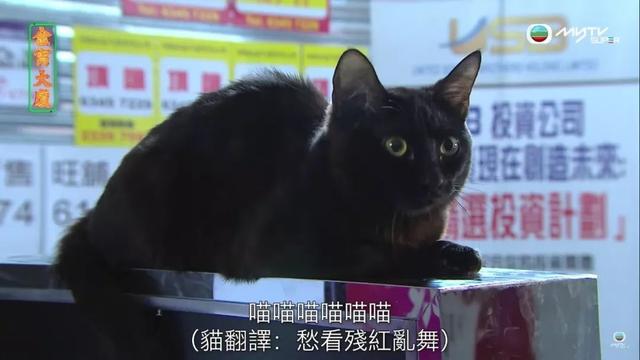 TVB离巢花旦亲解剧情《金宵大厦》女主是生是死?梦醒就会消失?