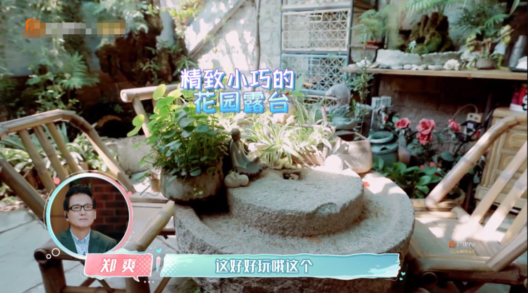 张恒死缠烂打追郑爽,追到手却不珍惜,郑爸爸喊话:要珍惜!