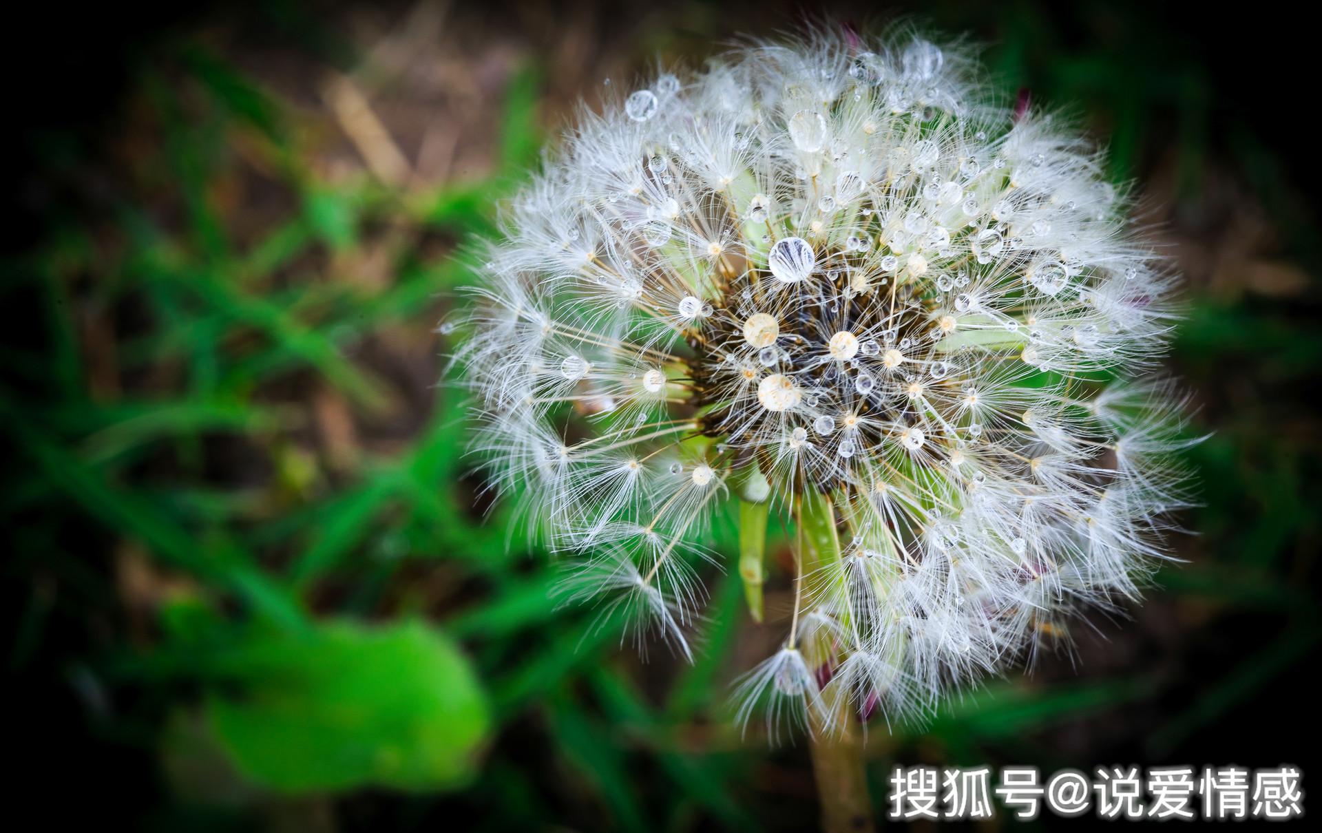 心理学:想要快速的走出困境,你要学会花钱