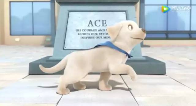 一只导盲犬的励志短片刷屏:这个世界,不会辜负那些真正热爱的人!